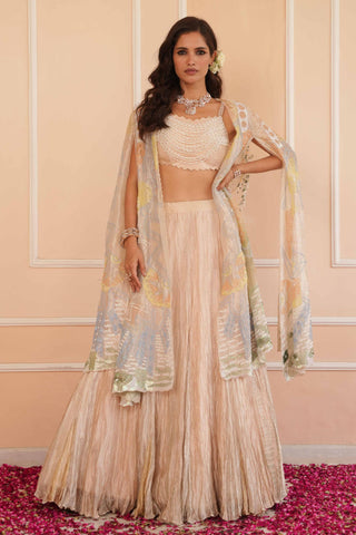 Silver dil se aria lehenga