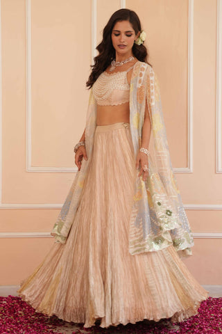 Silver dil se aria lehenga