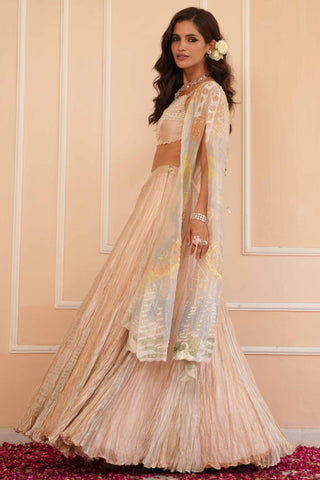 Silver dil se aria lehenga