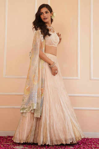 Silver dil se aria lehenga