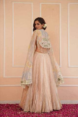 Silver dil se aria lehenga