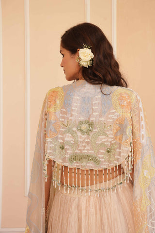 Silver dil se aria lehenga
