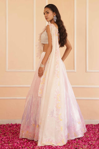 Ivory dil se kiara handpainted lehenga