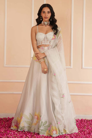 Gray dil se pearl handpainted lehenga