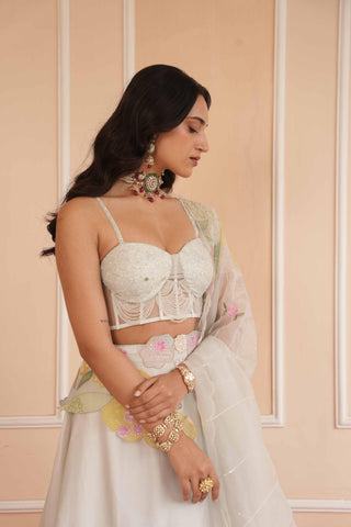 Gray dil se pearl handpainted lehenga