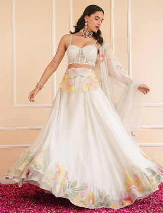 Gray dil se pearl handpainted lehenga