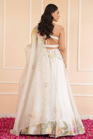 Gray dil se pearl handpainted lehenga