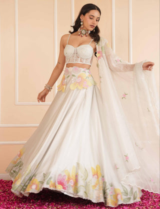 Gray dil se pearl handpainted lehenga