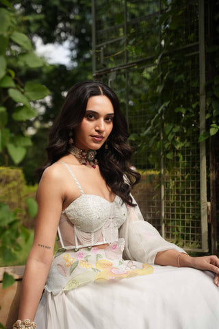 Gray dil se pearl handpainted lehenga