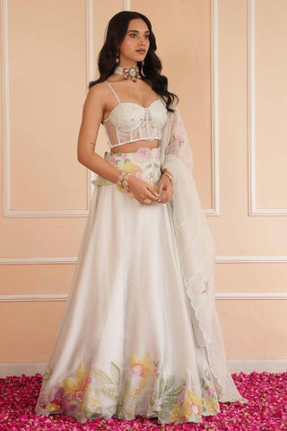 Gray dil se pearl handpainted lehenga