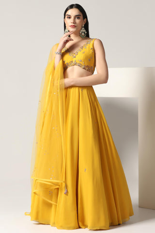 Mustard yellow lehenga set