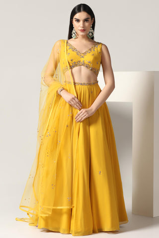 Mustard yellow lehenga set