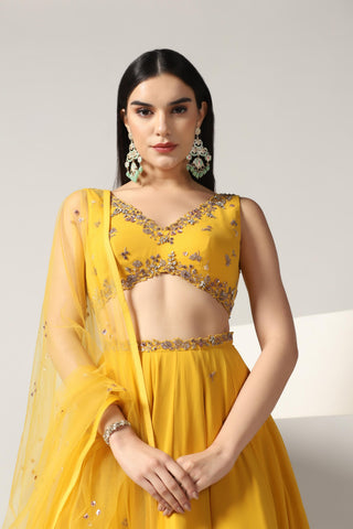 Mustard yellow lehenga set