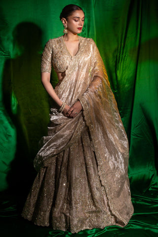 Gold swarn safarnama lehenga set