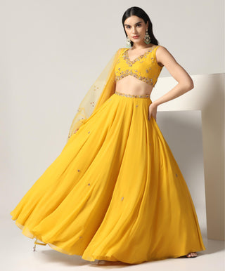 Mustard yellow lehenga set