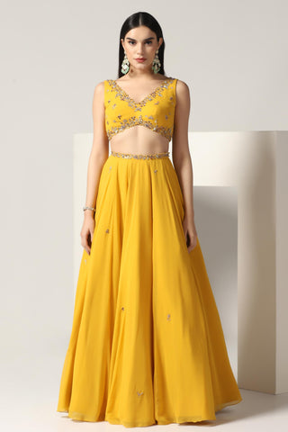 Mustard yellow lehenga set