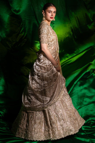 Gold swarn safarnama lehenga set