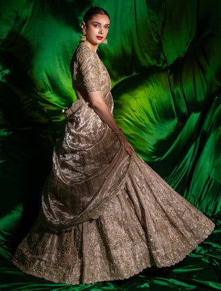 Gold swarn safarnama lehenga set