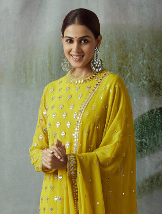 Kurta for Festive – Green Chamak by Vvani By Vani Vats