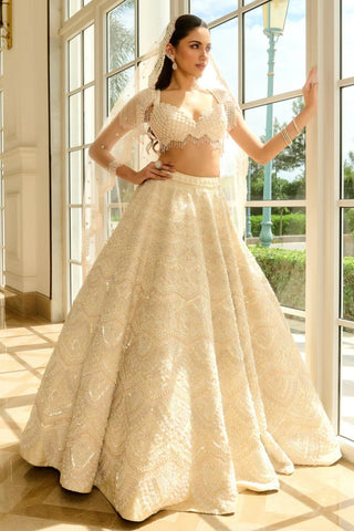 Beige blaire lehenga set