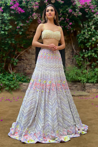 Multicolor alara lehenga set
