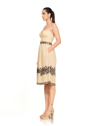 Ecru beige net dress