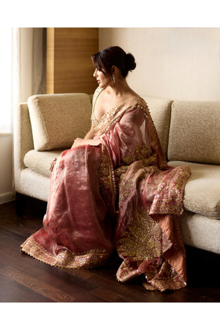 Red mayur naach shilp saree