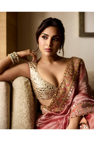 Red mayur naach shilp saree
