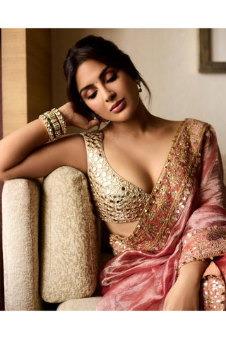 Red mayur naach shilp saree