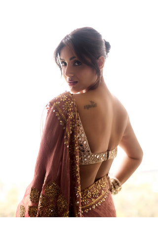 Red mayur naach shilp saree