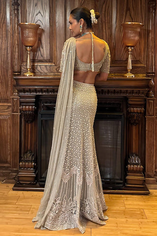 Green sitara safarnama saree skirt set