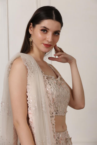 Light pink sequin and swarovski embellished lehenga set