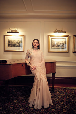 Beige sneh safarnama saree set