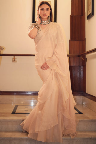 Beige sneh safarnama saree set