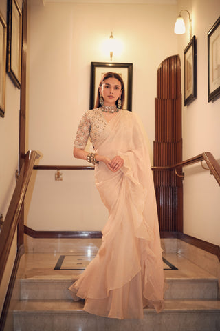 Beige sneh safarnama saree set