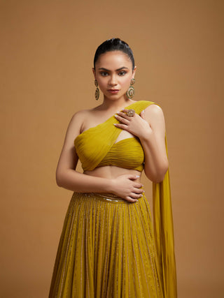 Tish yellow lehenga set