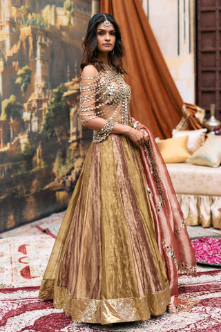 Lehenga with Mirror Harness Indian Wedding – Gold Pravarnika Ensemble by Itrh