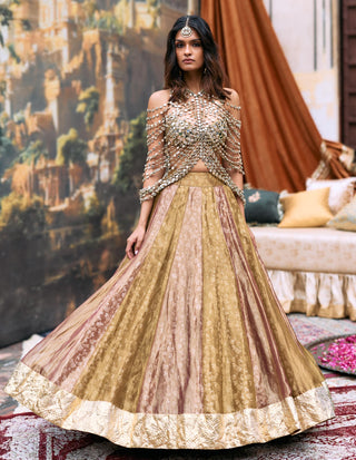 Lehenga with Mirror Harness Indian Wedding – Gold Pravarnika Ensemble by Itrh