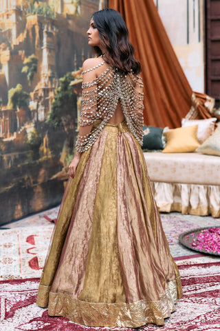 Lehenga with Mirror Harness Indian Wedding – Gold Pravarnika Ensemble by Itrh
