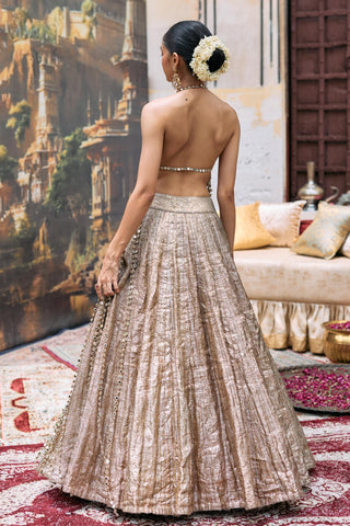 Lehenga with tunic Contemporary Wear – Silver Couture Mridula by Itrh