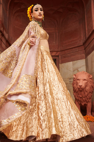 Gold padmasvara lampi naach lehenga set