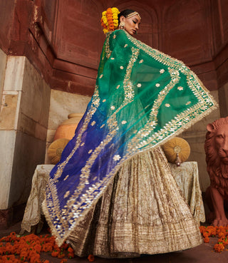 Silver chaandi lampi naach lehenga set