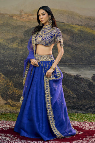 Lehenga Indian Wedding - Blue Rhea Lehenga by Itrh