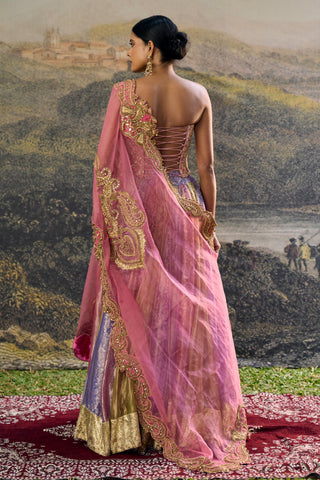 Lehenga Indian Wedding - Pink Rangoli Zari Lehenga by Itrh