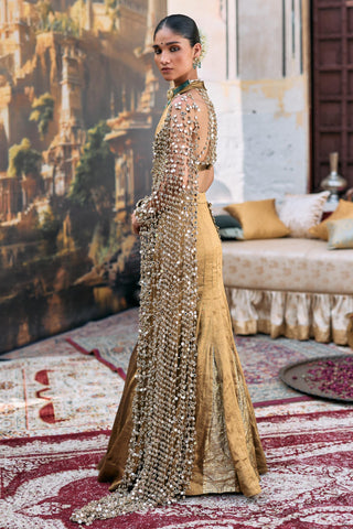 Lehenga Set Indian Wedding - Brown Mandira Ensemble by Itrh