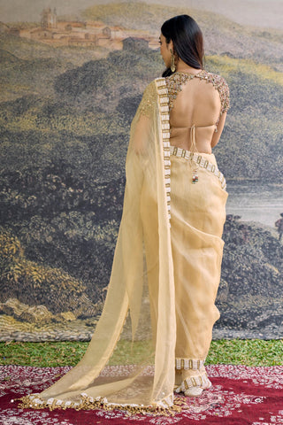 Saree Indian Wedding - Yellow Kahani Organza Saree by Itrh