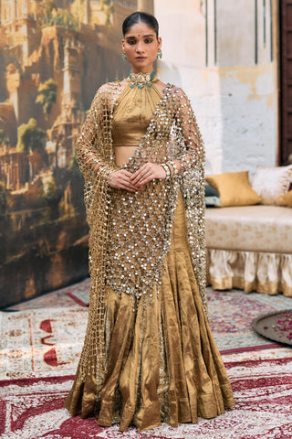 Lehenga Set Indian Wedding - Brown Mandira with Sheeshya Veil by Itrh