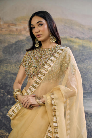 Saree Indian Wedding - Yellow Kahani Organza Saree by Itrh