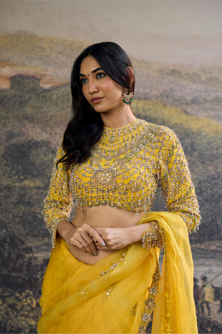 Saree Indian Wedding - Yellow Peela Tara Saree by Itrh