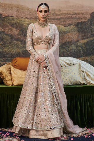 Pink rang de gulaab naach lehenga and veil